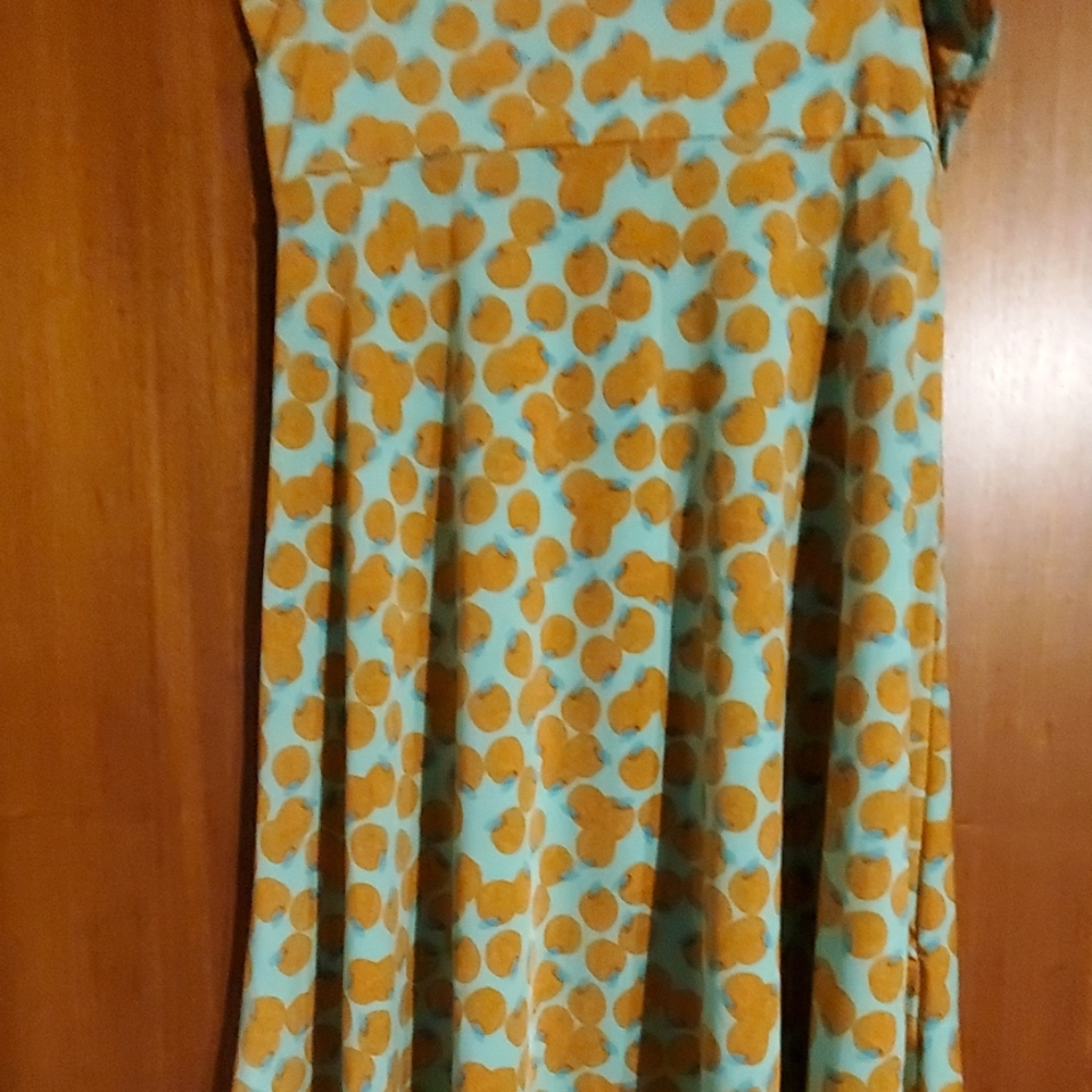 Lularoe skirt